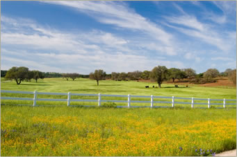 Farm Ranch Attorney Victoria Texas